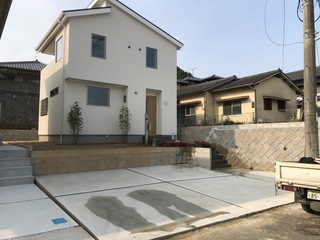 S__72499204.jpg