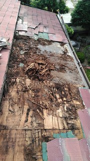 _200904_6.jpg